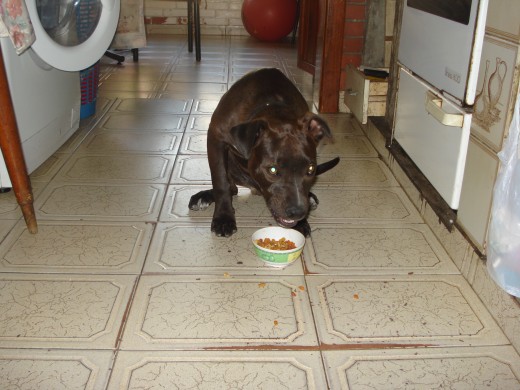 hora de la comida!!